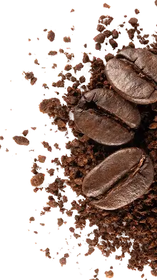 Organic Arabica Coffee